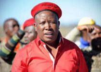 Julius Malema Biography (2026): Age, Family, Political Career, EFF Leadership, Net Worth & Life Story