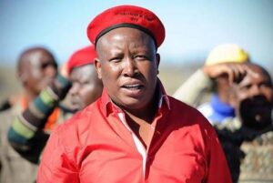 Julius Malema Biography (2026): Age, Family, Political Career, EFF Leadership, Net Worth & Life Story