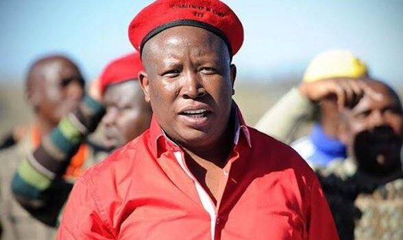 Julius Malema Biography (2026): Age, Family, Political Career, EFF Leadership, Net Worth & Life Story